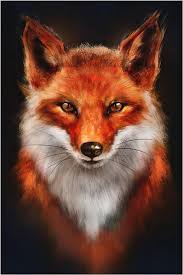 Profil de Ancelin, 28 ans, Rencontre à Elgin