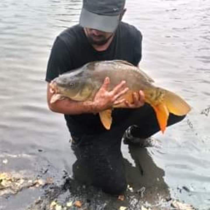 Profil de Hermes, 38 ans, Rencontre à Mendham