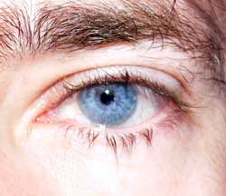 Profil de Jullian, 55 ans, Rencontre à Mayo