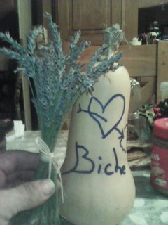 Profil de Ilhan, 55 ans, Rencontre à Eyebrow