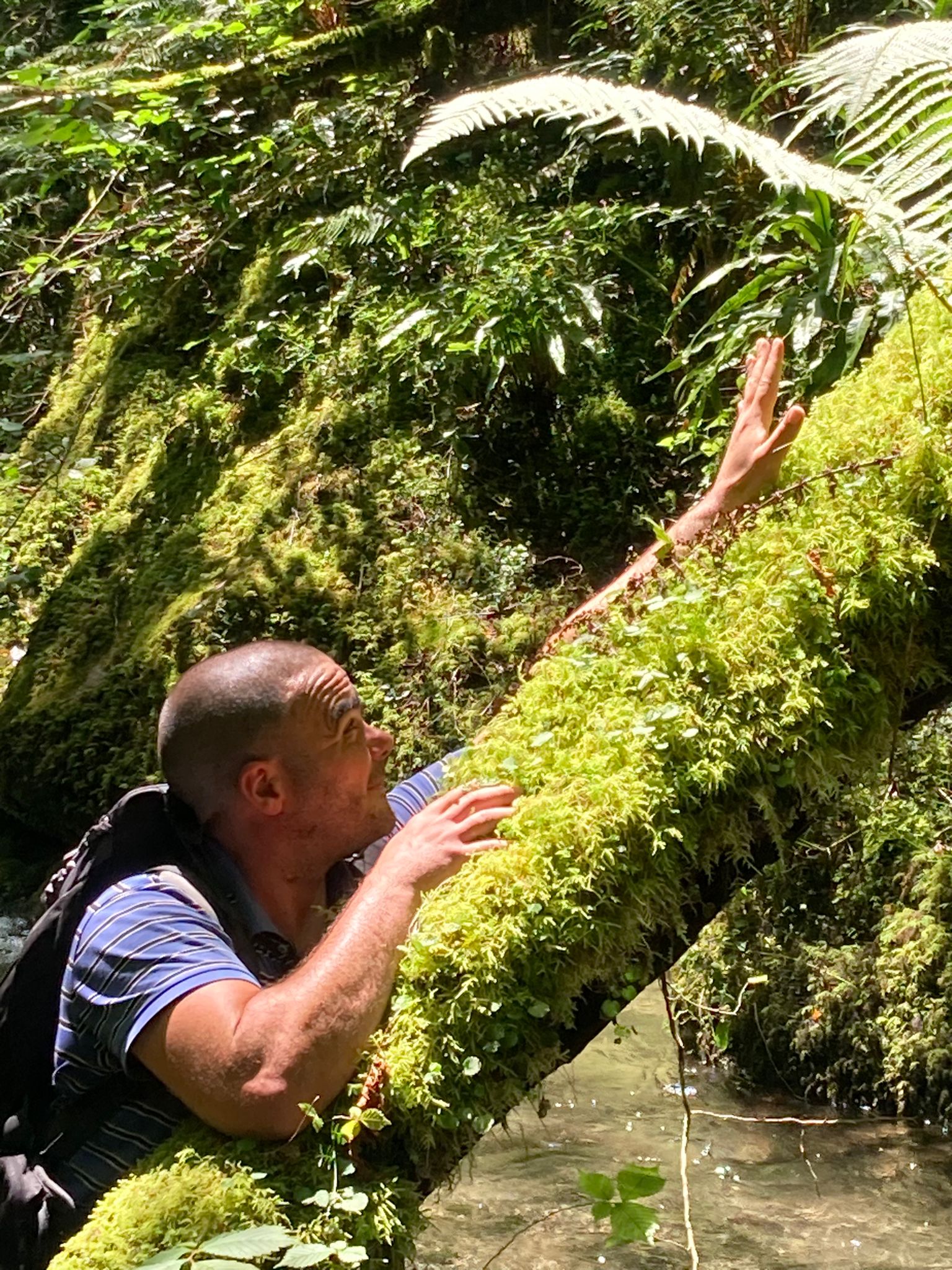 Profil de Panpi, 41 ans, Rencontre à Calgary