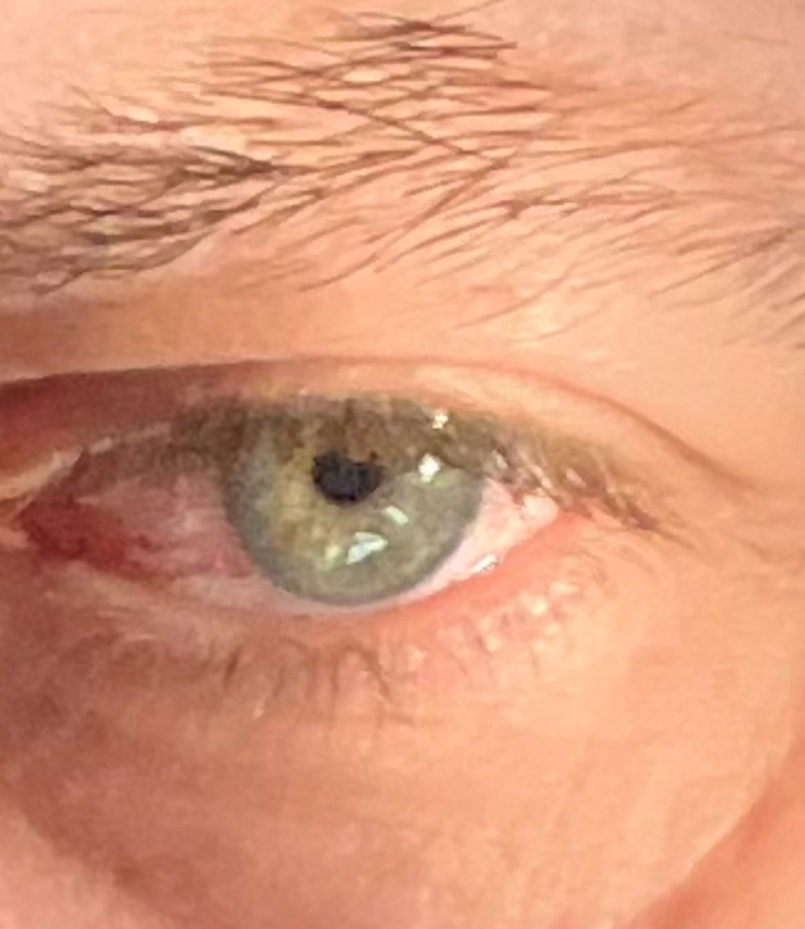 Profil de Wylfried, 51 ans, Rencontre à Peace River