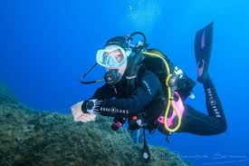 Profil de Alliaume, 55 ans, Rencontre à Calmar